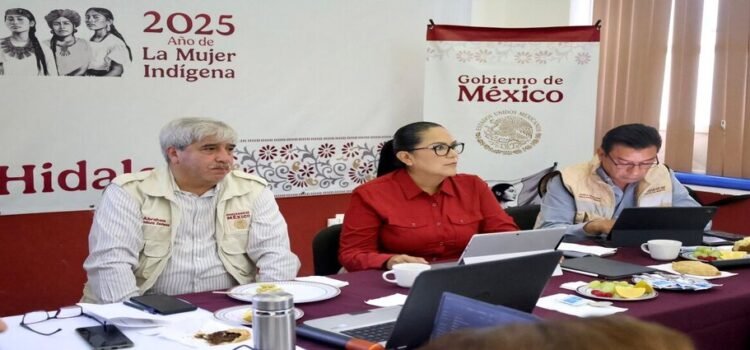 Evalúan avances del Censo Bienestar en Hidalgo tras inundaciones en la Huasteca