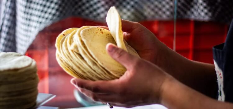 Productores de tortilla en Tulancingo Analizan unirse al Acuerdo Nacional de Maíz Productores de tortilla en Tulancingo Analizan unirse al Acuerdo Nacional de Maíz