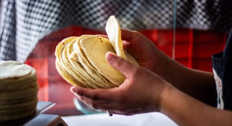 Productores de tortilla en Tulancingo Analizan unirse al Acuerdo Nacional de Maíz