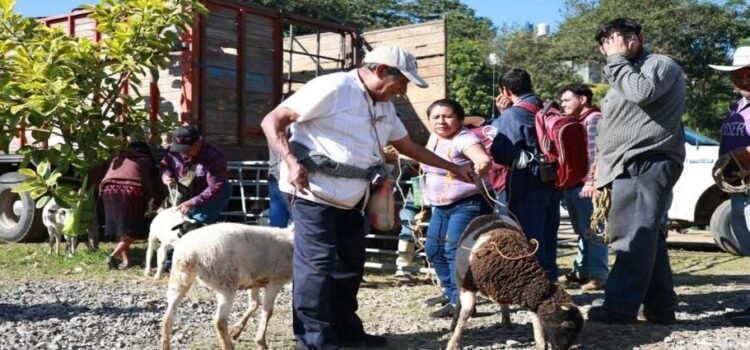 Hidalgo busca terrenos para reubicación de familias afectadas por las lluvias