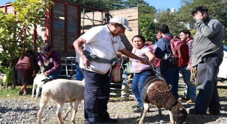Hidalgo busca terrenos para reubicación de familias afectadas por las lluvias