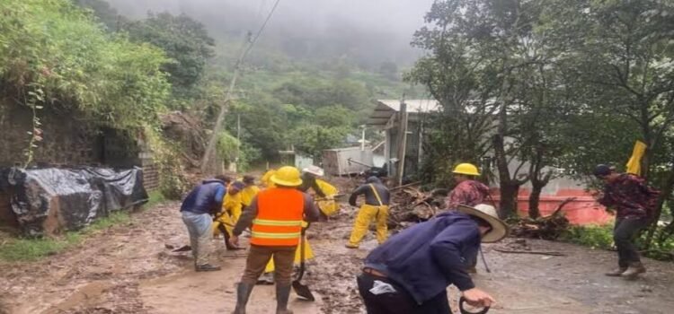 Huracán Priscila dejó cerca de 29 mil cabezas de ganado y 20 mil hectáreas de cultivo siniestradas
